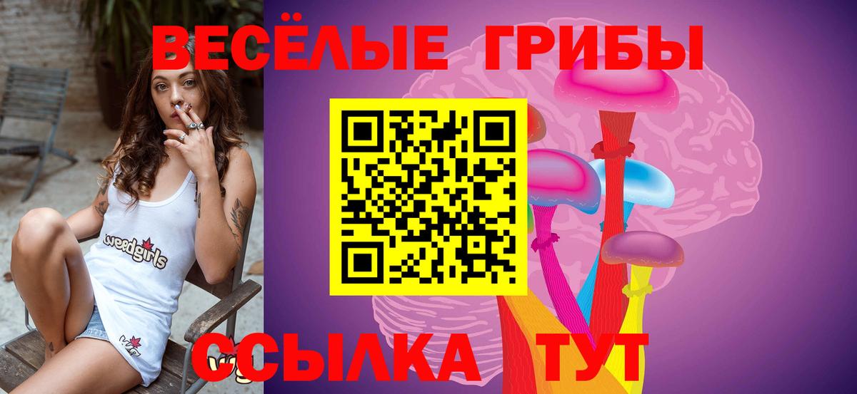 Галлюциногенные грибы мухоморы Тихвин